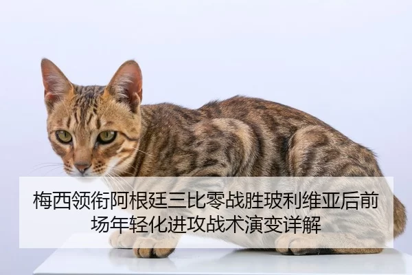 mei-xi-ling-xian-a-gen-ting-san-bi-ling-zhan-sheng-bo-li-wei-ya-hou-qian-chang-nian-qing-hua-jin-gong-zhan-shu-yan-bian-2-662.jpg